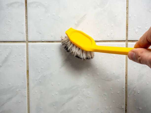 Professional Mold Removal in Penn Wynne, PA