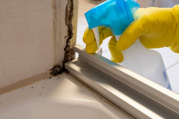 Best Certified Mold Removal  in Penn Wynne, PA